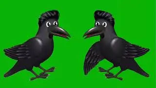 Crow green screen। crow flying green screen। flying crow green screen। green screen crow