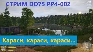 Стрим: Русская рыбалка 4 - озеро Комариное - Караси, караси, караси...