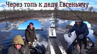 Открытие летнего сезона на таёжном кордоне, часть2. Через топь к деду Евгеньичу.