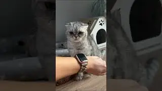 Не нервируй меня!!! 😼 аааа!!! Я щас скандал такой ученю!!!