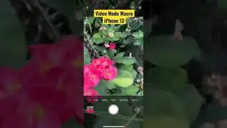 Video y Foto Modo Macro 