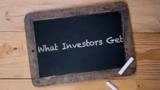 What % of My Company Should Investors Get?