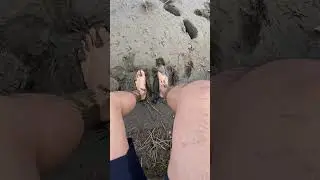 Muddy nice