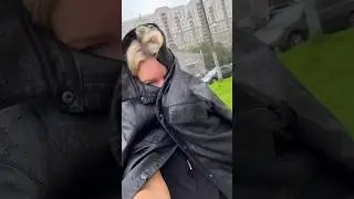 Питер. обожаю 💙