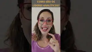 Como são os líderes analíticos