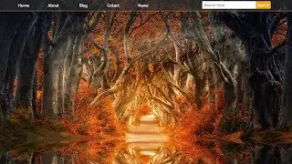 Best Transparent Navigation Bar with Search Box Using HTMl & CSS