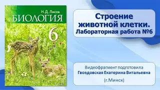 Тема 6. Строение животной клетки. Лабораторная работа №6 «Строение клеток крови лягушки»