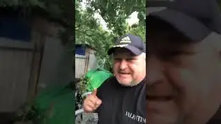 ХАНКАЙ 9.8 первый запуск. по вопросам приобретения вацап89525638950