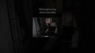 We Bought a Dog off the Dark Web..  