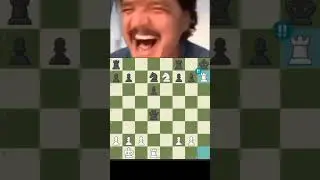 ARABIC MATE.