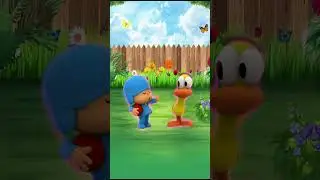 Pocoyo with Pato sounvariations 