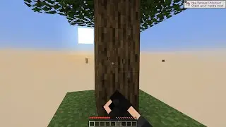 How NOT to play Skyblock