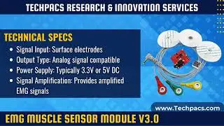 EMG Muscle Sensor Module V3.0 with Cable And Electrodes