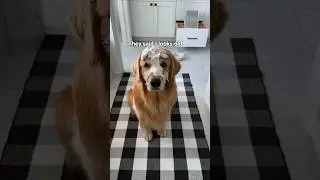 When you find out you're old and colorblind - part 2