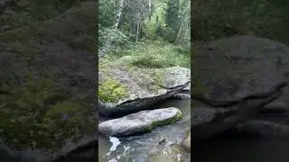 Алтай,, Белокуриха,,