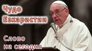 Чудо Евхаристии. Проповедь Папы Франциска на торжество Святого Тела и Крови Христа