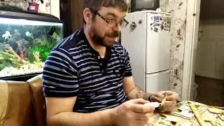Первое Января 2020г