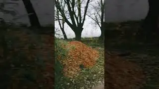 обратно домой 23.10.2023