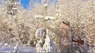 ИЩУ ГЛУХАРЯ ПО СЛЕДАМ / ТАЙГУ НАКРЫЛО СНЕГОМ / ВСЁ ЖИВОЕ В ЛЕСУ ЗАТАИЛОСЬ / ОХОТА НА БОРОВУЮ ПТИЦУ.