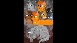 Коты-Воители. История Белки и Уголька. (Заказ с канала Анастасия Дмитриевна КВ)