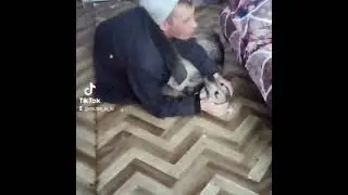 Привет Панину 