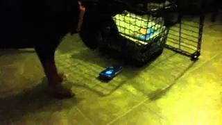 Phone skating