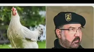 Ливан смеется:за каждого военначальника - по курице!