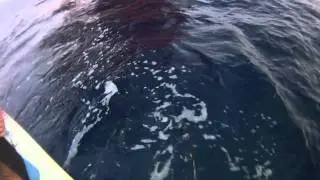 Vertical Jigging Settembre 2011.mov