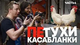 Касабланка: экономическая столица Марокко. Удалось ли поруфить?