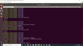How to delete Local Git Branch