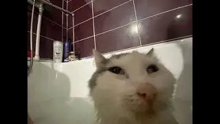 GUUUHHH