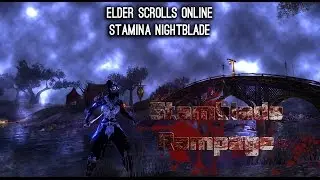 Stamina NB Build Rampage PvE - ESO