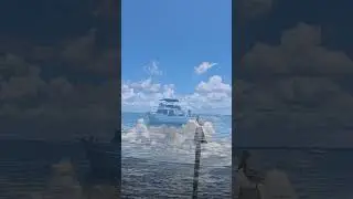 Insta360 GO 3 Cruisin Tikis!
