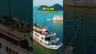 200 tỷ phú đi siêu du thuyền tới Vịnh Hạ Long #200typhu #duthuyen #vinhhalong #halong #ando