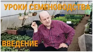 Частное Семеноводство. Введение. Помидому 30 лет. История моей любви к земле и её плодам. Ответы