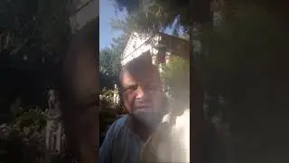 02.09.24 г пишу как гл.Редактор должностное лицо ответ в регионе получаю как физ лицо, самоуправство