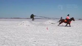 Скиджоринг 2020 (конно-лыжные забеги), Амурское областное ТВ, 18-02-2020