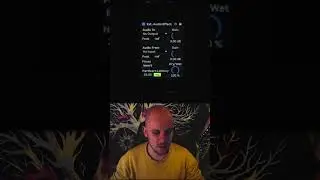Every Ableton Effect Explained Day 18: External Audio Effect 