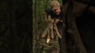 Stealth Survival Shelter 