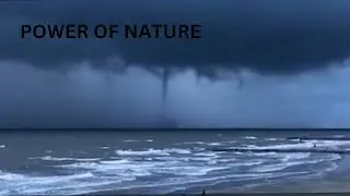 Unbelievable Sounds Nature is Making!