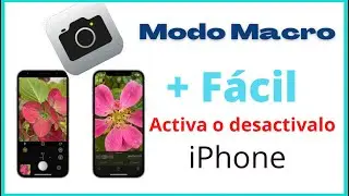 How to Activate Macro Mode on iPhone 13