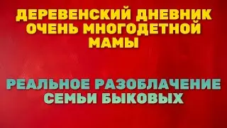 Деревенский дневник очень многодетной мамы. Разоблачение семьи Быковых.