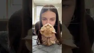 Уважительная причина для опоздания⏰