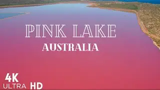 Think Pink: Exploring Australia's Oddest Natural Marvel! 🧐🌸