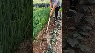 Small Useful Tool 