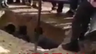 В МОСКВЕ ПОХОРОНИЛИ ДВУХ ТАДЖИКОВ-ТАКСИСТОВ, СКОНЧАВШИХСЯ С ПРИЗНАКАМИ ЧИГАР чанозаи ду точик