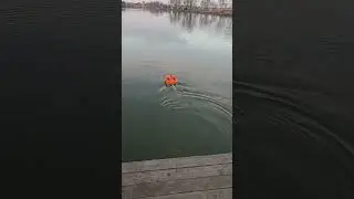 Пара новых прикормочных кораблей KubCarp с GPS и глубиномерами.