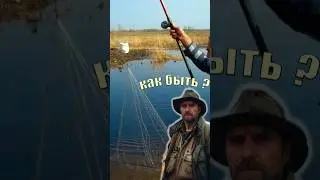 Что делать если зацепился за браконьерскую сеть