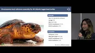 The Turtle Project: Conservation epigenomics of endangered sea turtles with temperature-dependen...