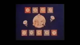 VHS Opening and Closing to Andy Pandy 2 UK VHS Tape